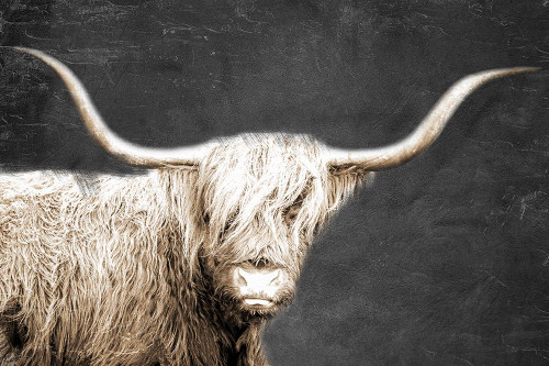 In the Highlands Poster Print - Kimberly Allen # VARPDXKARC2864A1