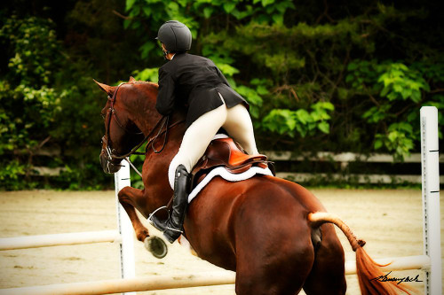Jumping Hunter III Poster Print - Alan Hausenflock # VARPDXPSHSF2463