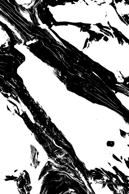 Driftwood Poster Print - Alan Hausenflock # VARPDXPSHSF2440