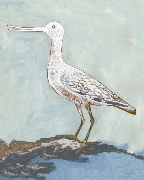 Sea Bird 2 Poster Print - Stellar Design Studio # VARPDXSDS907