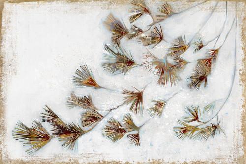 Golden Pine Braches III Poster Print - Susan Wilde # VARPDXWS035A