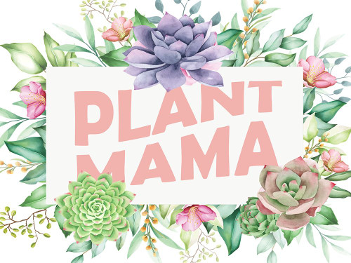 Plant Mama Poster Print - Kimberly Allen # VARPDXKARC2843A