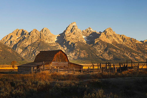 Historical Moulton barn at sunrise-Grand Teton National Park-Wyoming Poster Print - Adam Jones # VARPDXUS51AJE0635