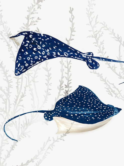 Blue Stingray III Poster Print - Aimee Wilson # VARPDXWL474A