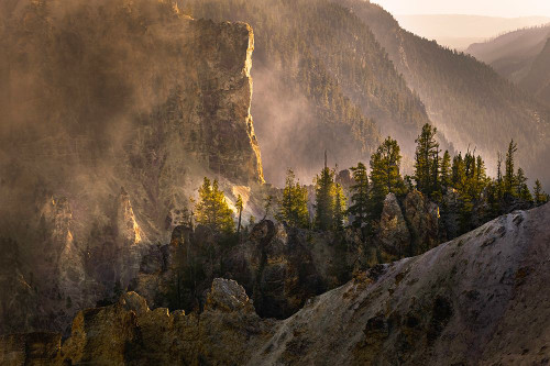 View from Artist Point at sunrise-Grand Canyon of Yellowstone-Yellowstone National Park-Wyoming Poster Print - Adam Jones # VARPDXUS51AJE0537