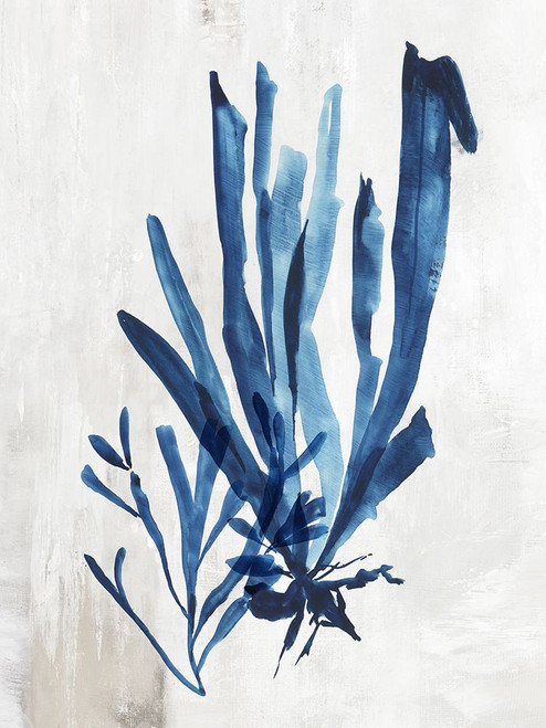 Coral Plant III Poster Print - Aimee Wilson # VARPDXWL469A