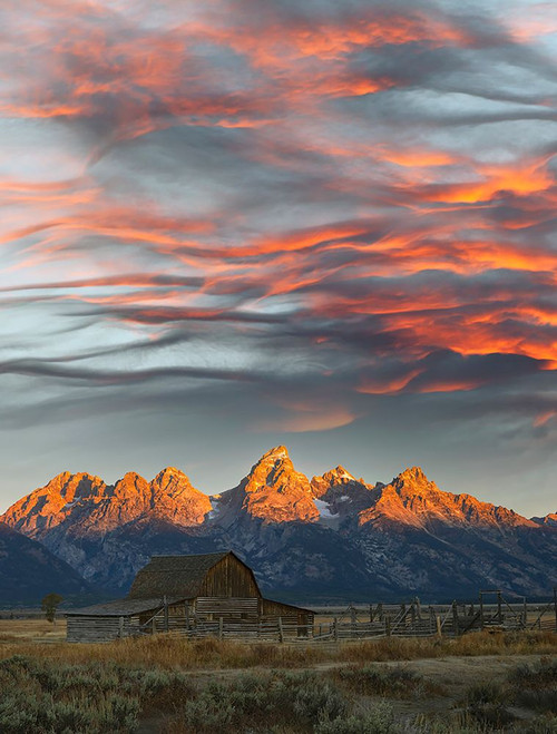 Historical Moulton barn at sunrise-Grand Teton National Park-Wyoming Poster Print - Adam Jones # VARPDXUS51AJE0632