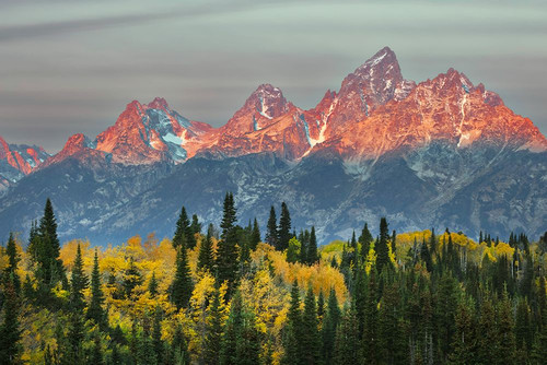 Autumn view of Teton Range at sunrise-Grand Teton National Park-Wyoming Poster Print - Adam Jones # VARPDXUS51AJE0619