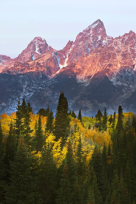 Autumn view of Teton Range at sunrise-Grand Teton National Park-Wyoming Poster Print - Adam Jones # VARPDXUS51AJE0620