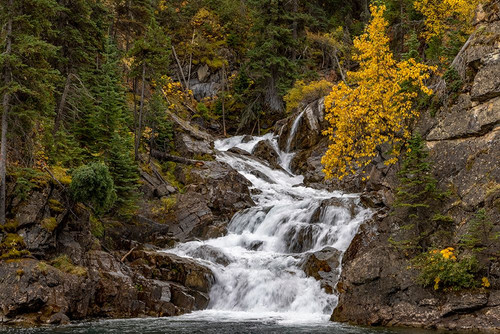 Gros Ventre Falls in autumn-Glacier National Park-Montana-USA Poster Print - Chuck Haney # VARPDXUS27CHA4982