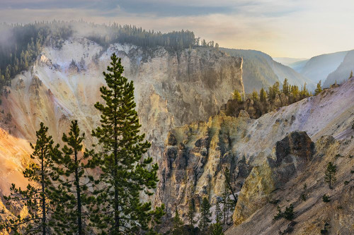 View from Artist Point at sunrise-Grand Canyon of Yellowstone-Yellowstone National Park-Wyoming Poster Print - Adam Jones # VARPDXUS51AJE0536