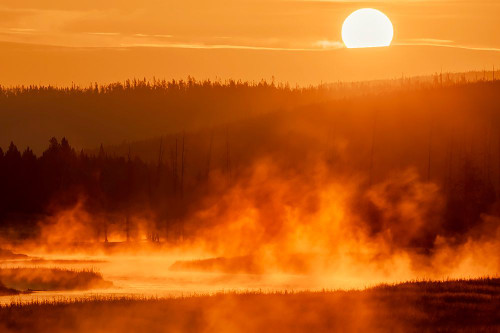 Madison River at sunrise-Yellowstone National Park-Wyoming Poster Print - Adam Jones # VARPDXUS51AJE0555