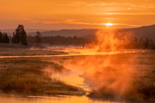 Madison River at sunrise-Yellowstone National Park-Wyoming Poster Print - Adam Jones # VARPDXUS51AJE0554
