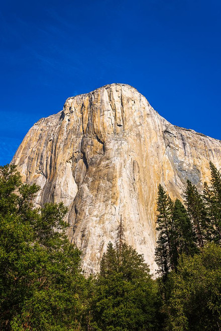 El Capitan-Yosemite Valley-Yosemite National Park-California-USA Poster Print - Russ Bishop # VARPDXUS05RBS1876