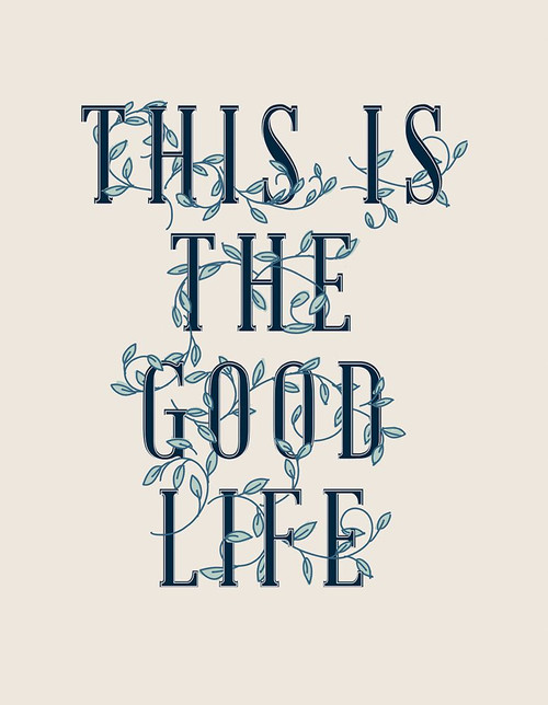Serene Sentiment I-Good Life Poster Print - HM Design # VARPDXRB17147HMD
