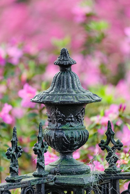 Iron fence and azaleas in full bloom-Bonaventure Cemetery-Savannah-Georgia Poster Print - Adam Jones # VARPDXUS11AJE0080