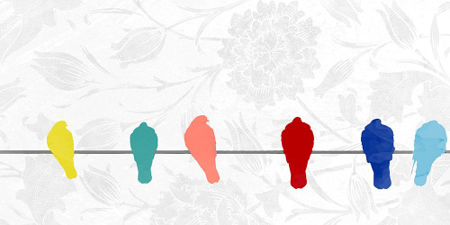 Summer Birds Poster Print - Kimberly Allen # VARPDXKARN846A