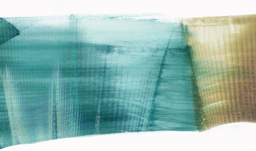 Blue Ribbon Poster Print - PI Studio # VARPDXPI858X