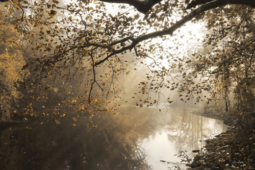 Morning Rays at Swatara Creek Poster Print - Lori Deiter # VARPDXLD3043