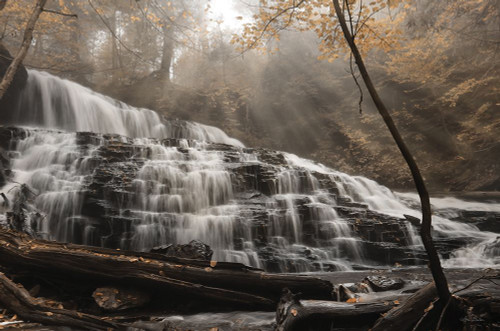Mohawk Rays of Light Poster Print - Lori Deiter # VARPDXLD3025