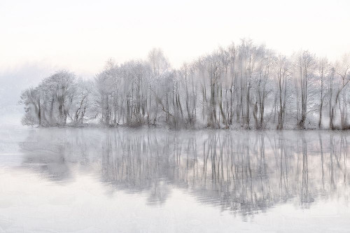 Mist Lake Poster Print - Kimberly Allen # VARPDXKARC3326A