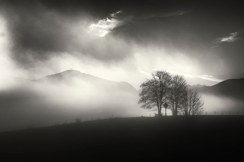 Morning Mood Poster Print - Nina Pauli # VARPDX832189