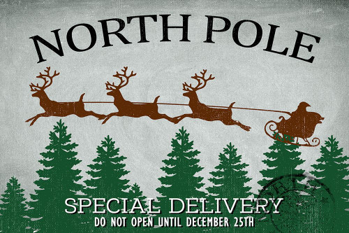 North Pole Delivery Poster Print - Kimberly Allen # VARPDXKARC3319A