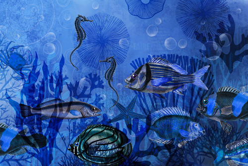 Magic Underwater World Poster Print - Andrea Haase # VARPDX83104