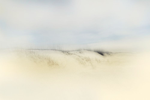 Desert Land Poster Print - Karin Connolly # VARPDXCK127A