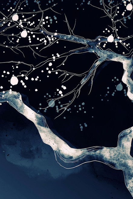 Cherry Blossom Branch Poster Print - Incado # VARPDXIN32752