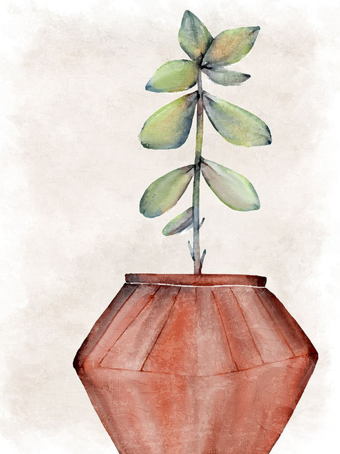 Succulent Plant 2 Poster Print - Kimberly Allen # VARPDXKARC3195B