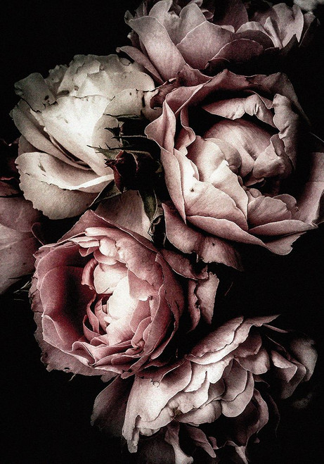 Floral 30 Poster Print - Incado # VARPDXIN32692