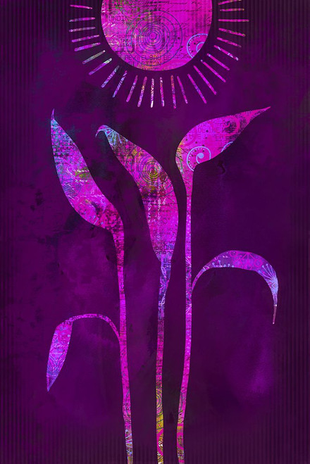 Fantasy Sunrise Poster Print - Andrea Haase # VARPDX83096