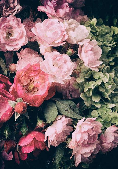 Floral 28 Poster Print - Incado # VARPDXIN32690