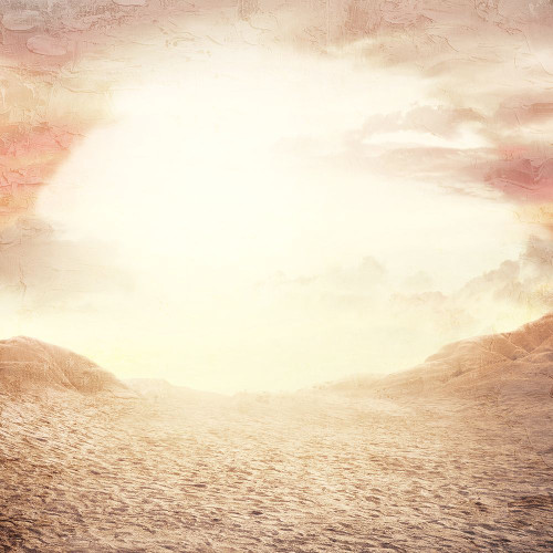 Desert Sunset Poster Print - Kimberly Allen # VARPDXKASQ3255A