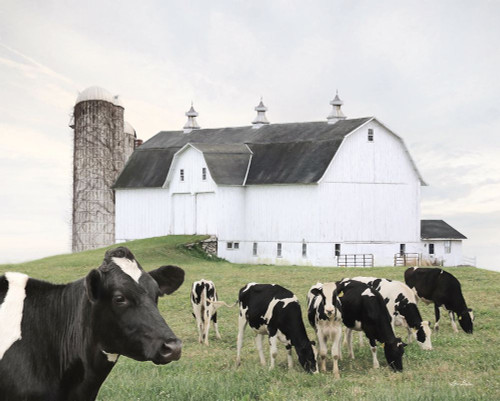 Cow Gathering Poster Print - Lori Deiter # VARPDXLD2891