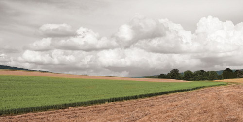 Country Storm Clouds Poster Print - Lori Deiter # VARPDXLD2892