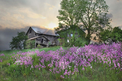 Country Living Poster Print - Lori Deiter # VARPDXLD2889