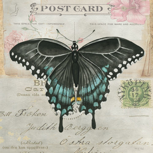 Postcard Butterfly III Poster Print - Cindy Jacobs # VARPDXCIN3732