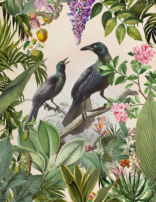 The Birds Hidden Paradise III Poster Print - Andrea Haase # VARPDX83073