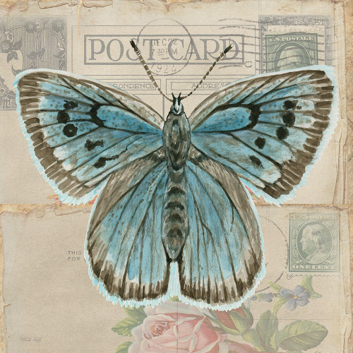 Postcard Butterfly I Poster Print - Cindy Jacobs # VARPDXCIN3730