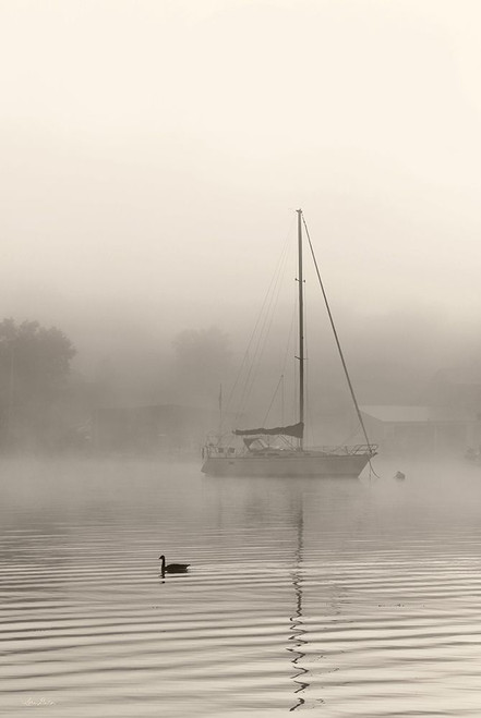 Foggy Bay Poster Print - Lori Deiter # VARPDXLD2855