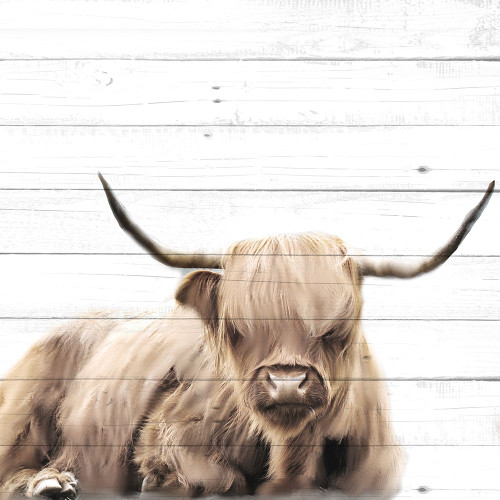 Highland V2 Poster Print - Kimberly Allen # VARPDXKASQ3206A