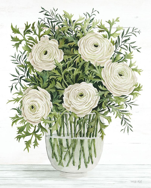 Ranunculus on White Poster Print - Cindy Jacobs # VARPDXCIN3671