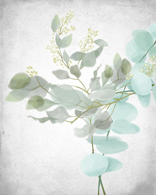 Eucalyptus and Leaves 1 Poster Print - Kimberly Allen # VARPDXKARC3142A