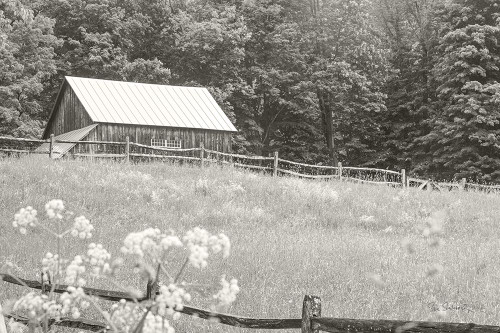 Summer Farm I BW Poster Print - Sue Schlabach # VARPDX79103