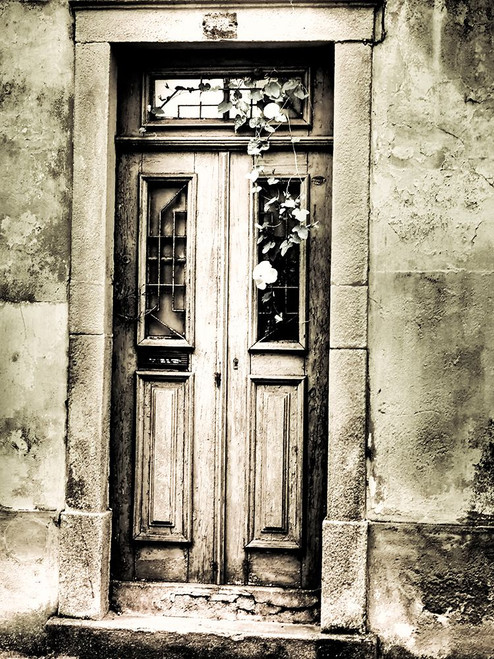 Portugal-Aveiro-Old doorways in the city Poster Print - Terry Eggers # VARPDXEU23TEG0909