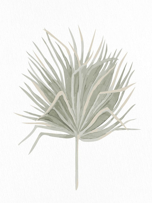 Soft Green 2 Poster Print - Kimberly Allen # VARPDXKARC3156B