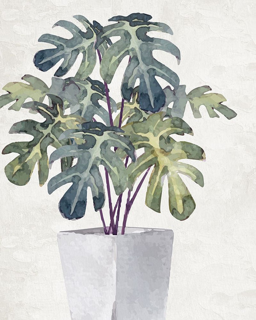 Plant 1 Poster Print - Kimberly Allen # VARPDXKARC3151A