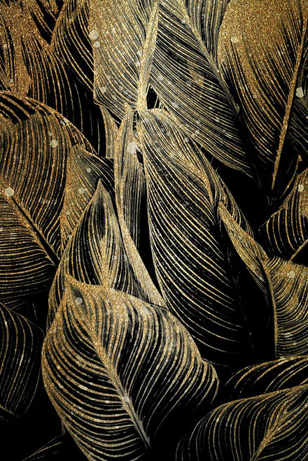 Midnight Palm Gold 1 Poster Print - Kimberly Allen # VARPDXKARC3129A